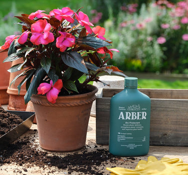 Bio Protectant - Arber