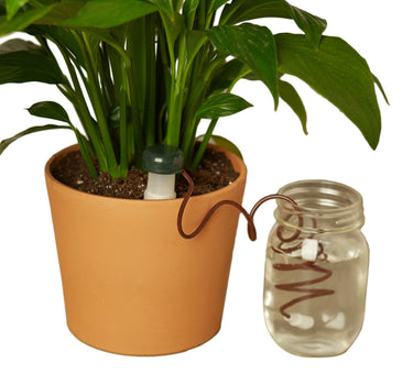 Automatic Plant Waterers