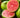 Ruby Supreme Guava Tree
