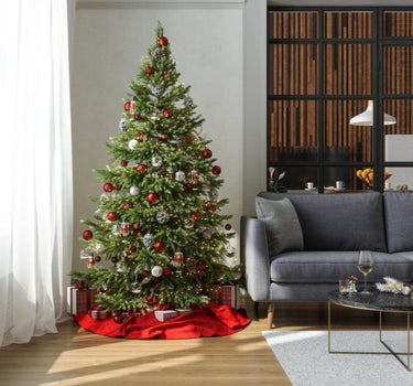 Fraser Fir Christmas Tree