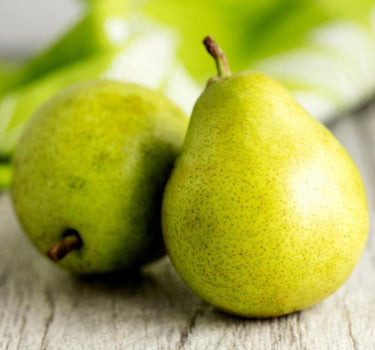 D'Anjou Pear Tree fruit