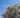 Bubba Jones Desert Willow Tree