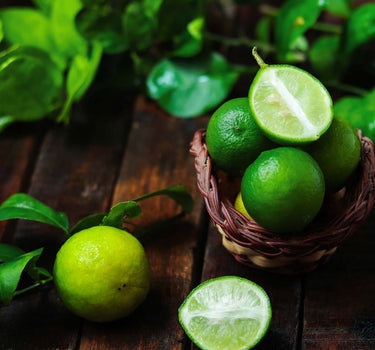 Key Lime Bush