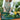 Repotting Mat - Arber