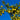 Eureka Lemon Tree