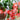 Holiday Cactus