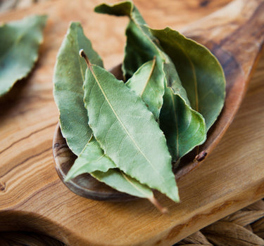 Bay Laurel