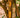 Cinnamon tree bark