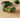 Australian Finger Lime Tree