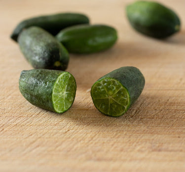Australian Finger Lime Tree