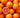 Cara Cara Orange Tree
